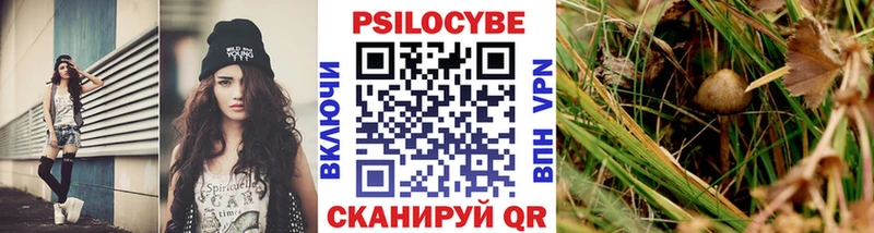 Псилоцибиновые грибы Cubensis  omg как зайти  Баймак 